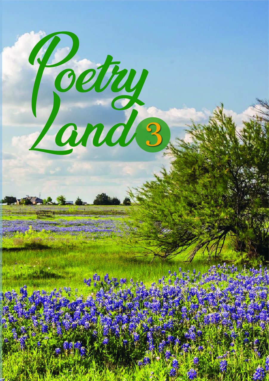 Poetry 3