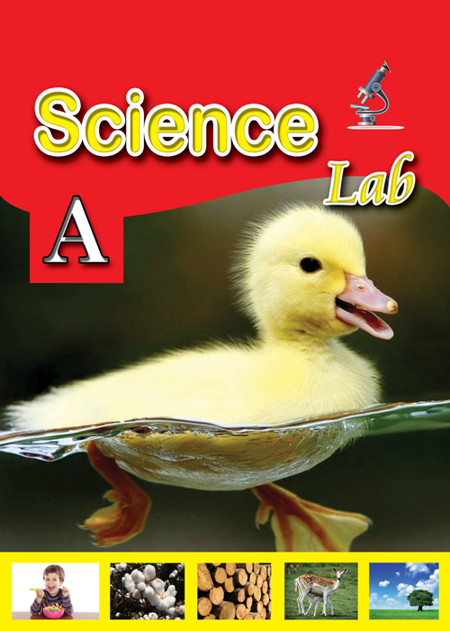 Science lab KG 1