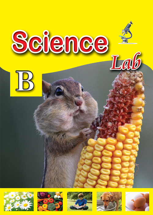 Science lab KG 2