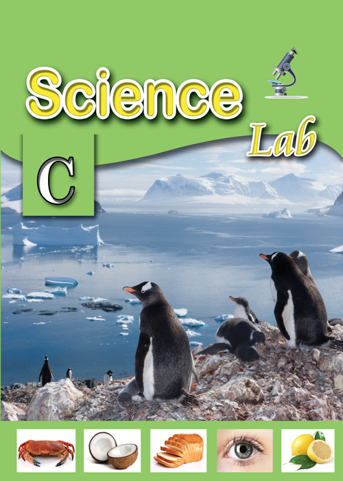 Science lab level 1